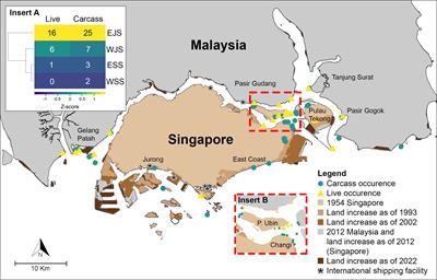 Corrigendum: Dugongs (Dugong dugon) along hyper-urbanized coastlines